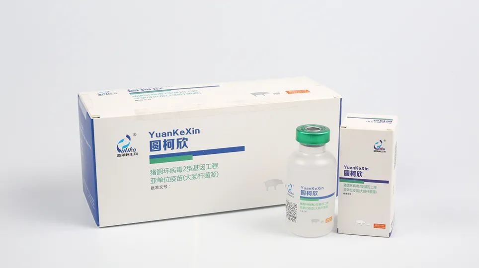 圖片 2.png 圖片 2.png